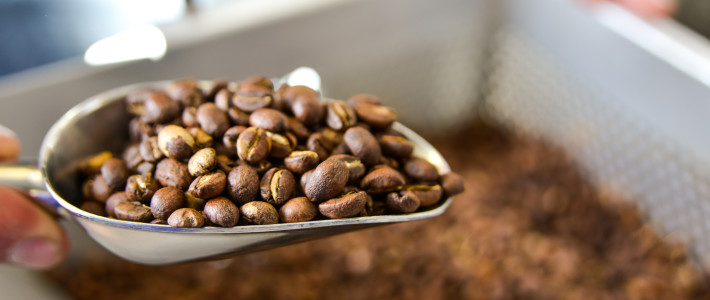 We’ve Bean Wise We’ve Bean Wise