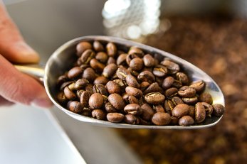 hand roasted coffee, made in house