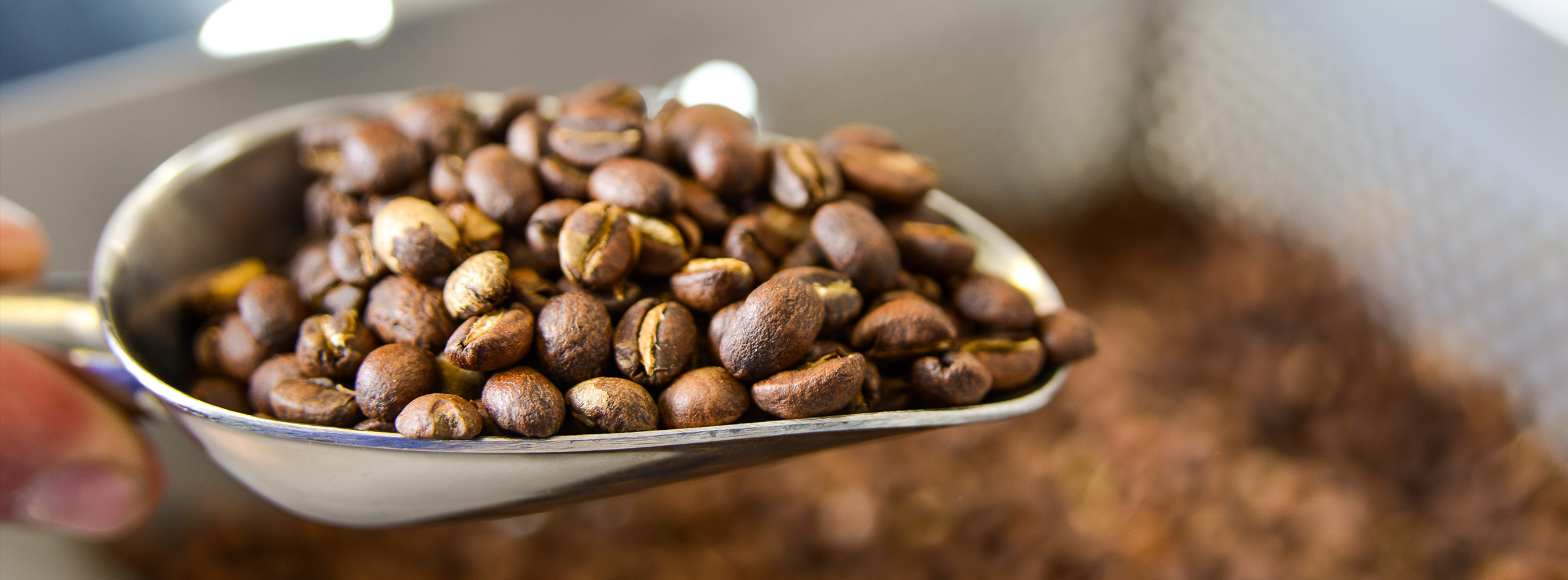 hand roasted coffee